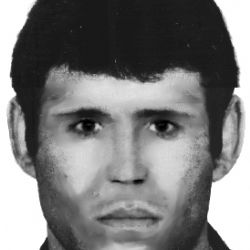 Policisté mají identikit plzeňského lupiče