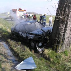 Řidič se zabil u Vlkanova nárazem do stoletého stromu