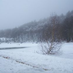 Rybáři kontrolují kyslík pod ledem, ryby zatím dýchat mohou