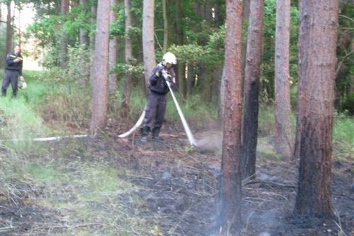 Foto: U Úherců na Plzeňsku hořel les