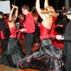 Zorro 4. ledna 2008 ovládl Měšťanskou besedu 
