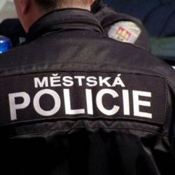 Opilci napadli policistu