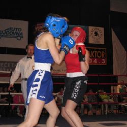 Boxeři Staru uspěli na Oblastním kole v Budějovicích