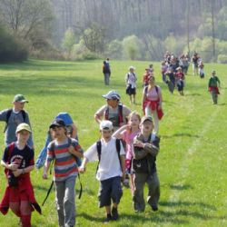 Děti z Rokycan našly v přírodě jaro
