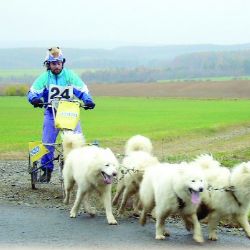 Dětský den se psím spřežením