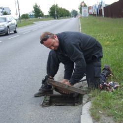 Kachny s mláďaty hnízdí uprostřed plzeňských sídlišť
