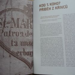 Kniha představuje záchranu kostelů v bývalých Sudetech