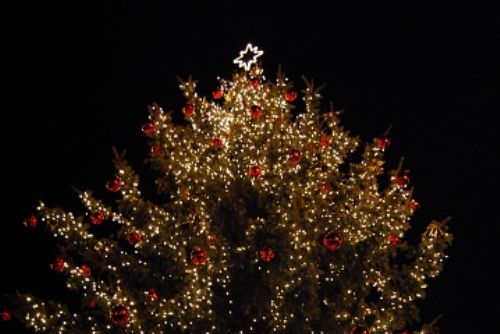 Foto: Na plzeňské náměstí dnes večer přivezou vánoční strom