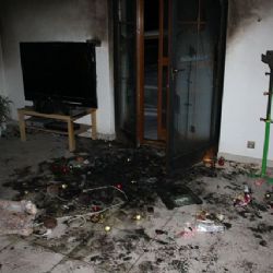 Na Tři krále hořel ve Zdemyslicích vánoční stromek