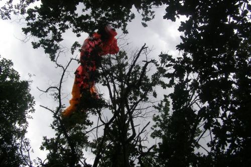 Foto: Paraglidista zůstal odpoledne viset v Koterově na stromě