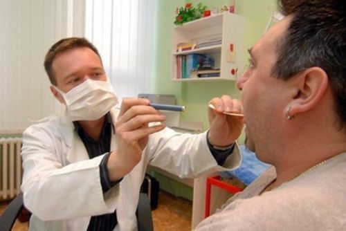 Foto: Plzeňané se bojí prasečí chřipky