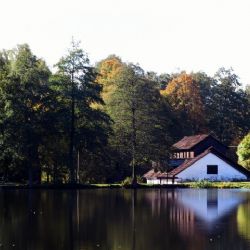 Plzeňský kraj slaví Den krajů volným vstupem do galerií a muzeí