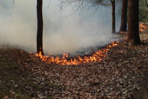 Foto: Plzeňští strážníci zabránili hrozícímu požáru