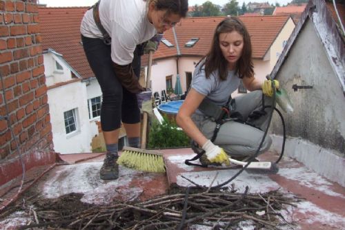 Foto: Plzeňští zvířecí záchranáři vyrazili na úpravy čapích hnízd