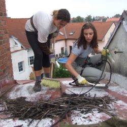 Plzeňští zvířecí záchranáři vyrazili na úpravy čapích hnízd