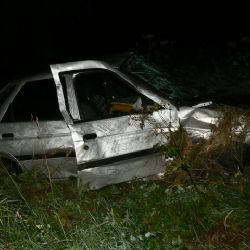 Při noční nehodě u Kašperek hledal účastníky psovod