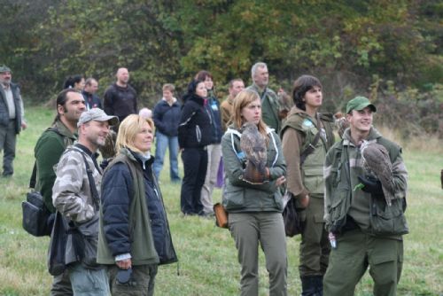 Foto: Rokycanští ochránci přírody pořádali v Pičíně Den s dravci