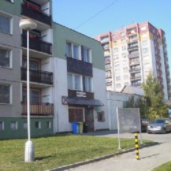 Až 50 procent obytných budov se v létě přehřívá, horkem nejvíc trpí obyvatelé velkoměst. Včetně Plzně 