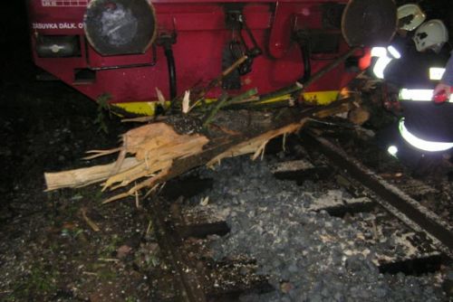 Foto: Strom při bouřce zablokoval u Šťáhlavic motorový vlak