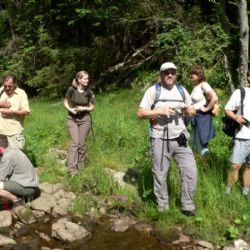 Šumava už nabízí výlety s průvodcem za divočinou