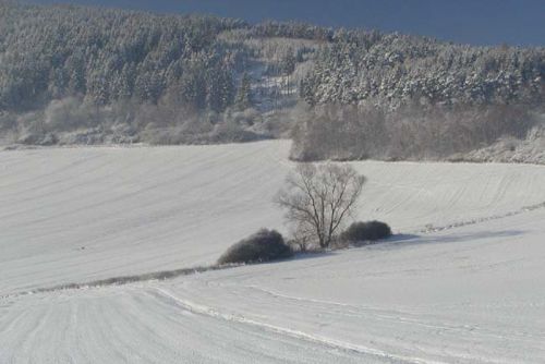 Foto: Šumava ode dneška hostí evropské sněhology