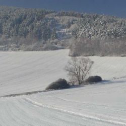 Šumava ode dneška hostí evropské sněhology