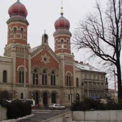Strážníci v Plzni zadrželi pravicové extremisty