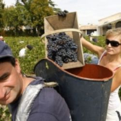 TOP 09 zve do Stříbra na vinobraní