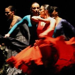 U Zvonu se představí flamenco, fotografie i speciality
