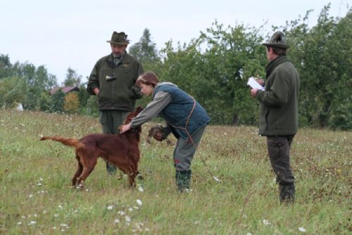 Foto: V Ejpovicích složilo lovecké zkoušky 19 psů
