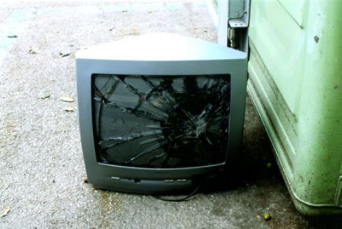 Foto: Ženě vběhl do domu a rozbil televizi