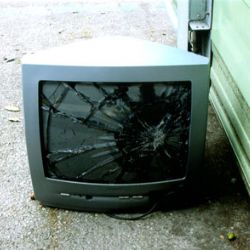 Ženě vběhl do domu a rozbil televizi