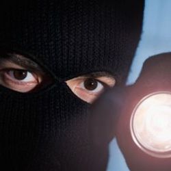 Nenapravitelný vykradač domů z Horšovskotýnska dokradl