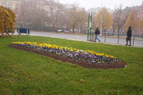 Foto: Centrální obvod Plzeň 3 hlásí tisíce vysazených květin