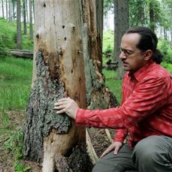 František Krejčí rezignoval na funkci šéfa NP Šumava
