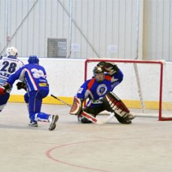 Generálka před play-off vyšla hokejbalistům na jedničku