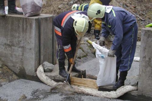 Foto: Únik chemikálie do Drnového potoka už šetří policie