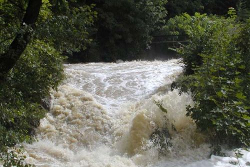 Foto: Plzeňský kraj zasáhl v noci déšť, řeky ale nestouply