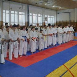 Mladí karatisté z Naramy slavili úspěchy, Štádler je mistrem republiky