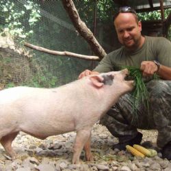 Nechcete ztraceného ochočeného vietnamského čuníka?