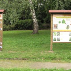Nová naučná stezka na Homolce děti pobaví i poučí