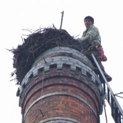 Plzeňští ekologové pomáhali čápům v Soběslavi