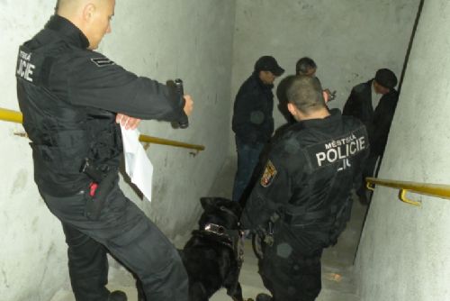 Foto: Policisté a strážníci v Plzni v pondělí kontrolovali kryty