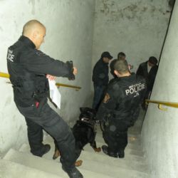 Policisté a strážníci v Plzni v pondělí kontrolovali kryty