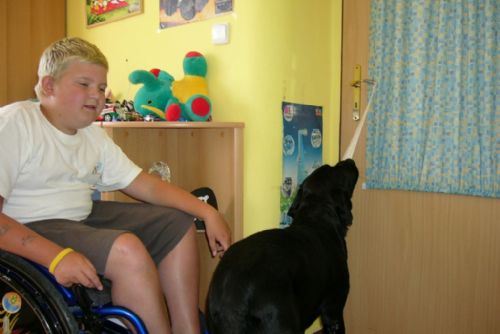 Foto: Pomocné tlapky mají 9 let, předali 100 asistenčních  psů