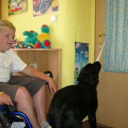 Pomocné tlapky mají 9 let, předali 100 asistenčních  psů
