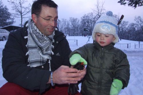 Foto: Ptačí zima v Plzni: Kos zamotaný v bavlnce i návštěva z Finska