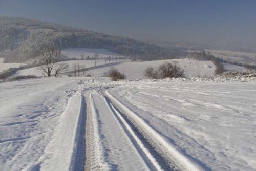 Foto: Běžkaři si mohou užívat upravených stop v blízkosti Plzně