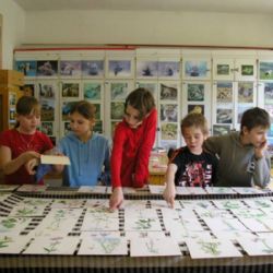 Techmania v Plzni chystá podzimní prázdniny plné hraček