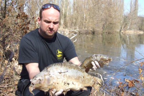 Foto: V chotíkovském rybníku plavaly mrtvé ryby